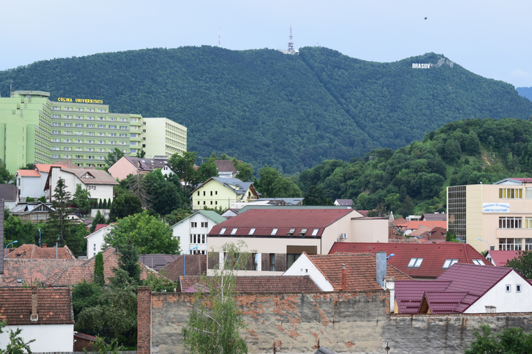 Public Area 3, Hotel Regal, Brasov