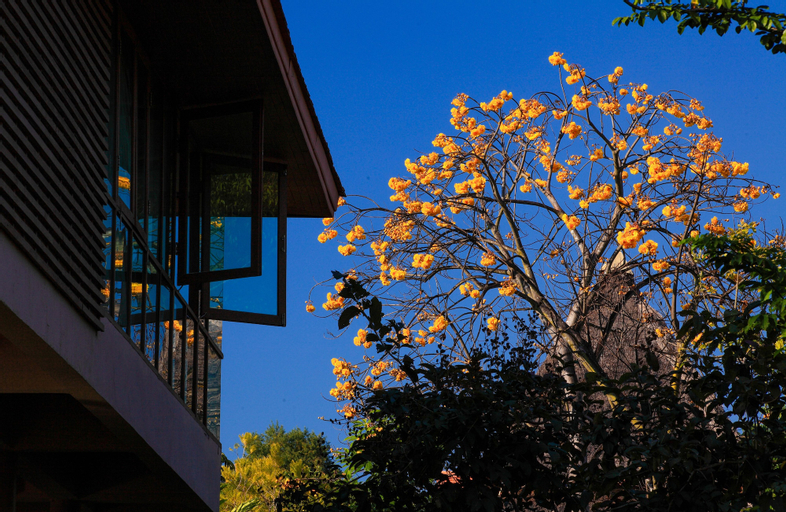 Belle Villa Resort Pai, Pai