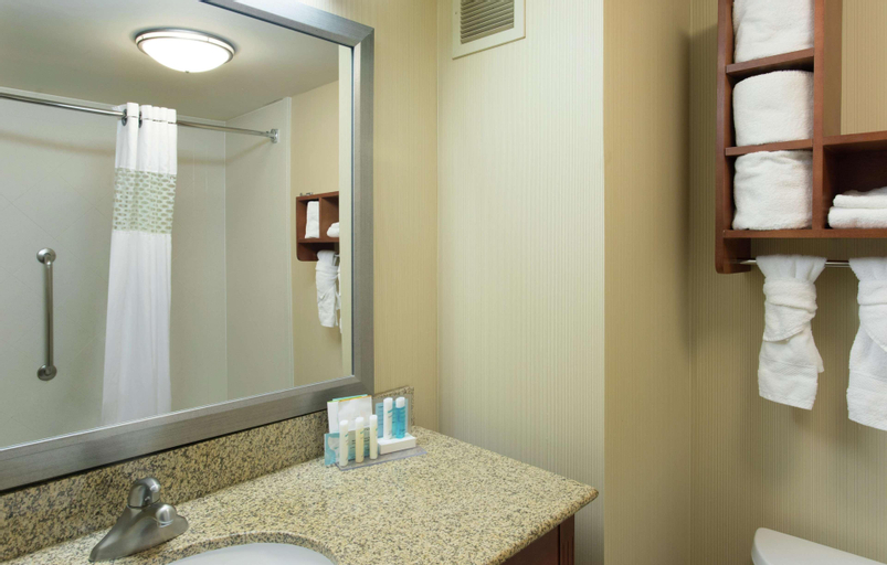 Bedroom 4, Hampton Inn & Suites Chicago Deer Park, Cook