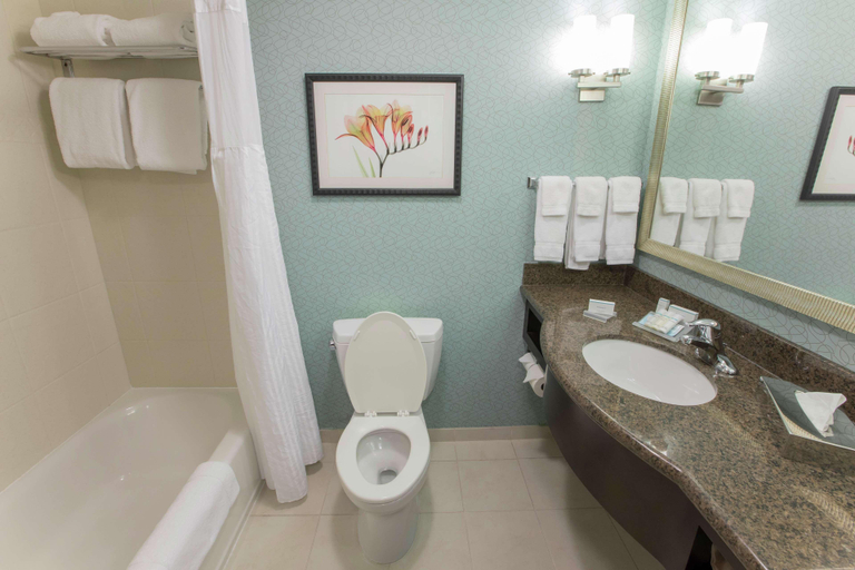 Bathroom 4, Hilton Garden Inn Atlanta South/McDonough, Henry