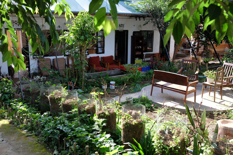 Lang Boho, Đà Lạt
