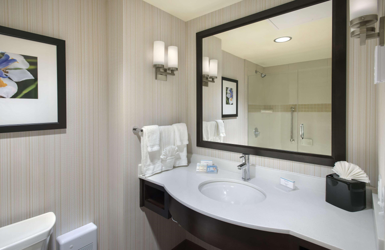 Bathroom 4, Hilton Garden Inn Chicago Downtown Riverwalk, Cook
