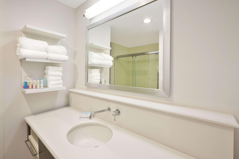 Bathroom 4, Hampton Inn Detroit/Dearborn, Wayne