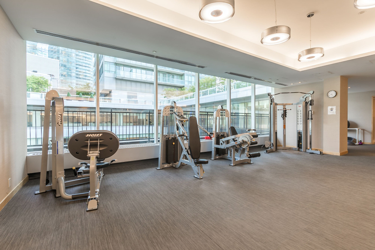 Sport & Beauty 5, Rooms in the Heart of DT, Toronto
