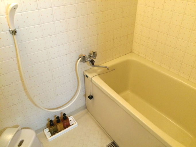 Bathroom 4, Imakuni Ryokan, Takachiho