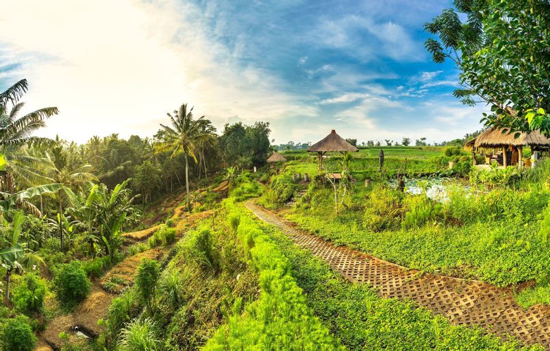 Visesa Ubud Resort, Gianyar