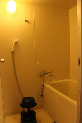 Bathroom 4, Nagatoro Choseikan Ryokan, Nagatoro