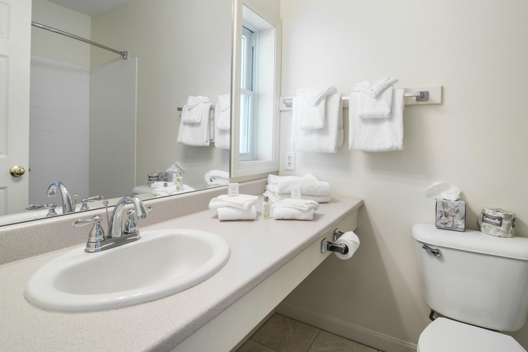Bathroom 3, The Lodge At Bretton Woods, Coos