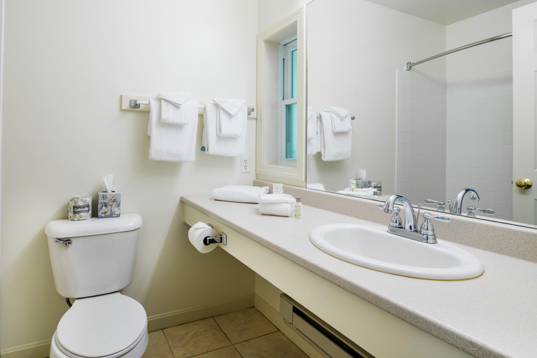 Bathroom 5, The Lodge At Bretton Woods, Coos