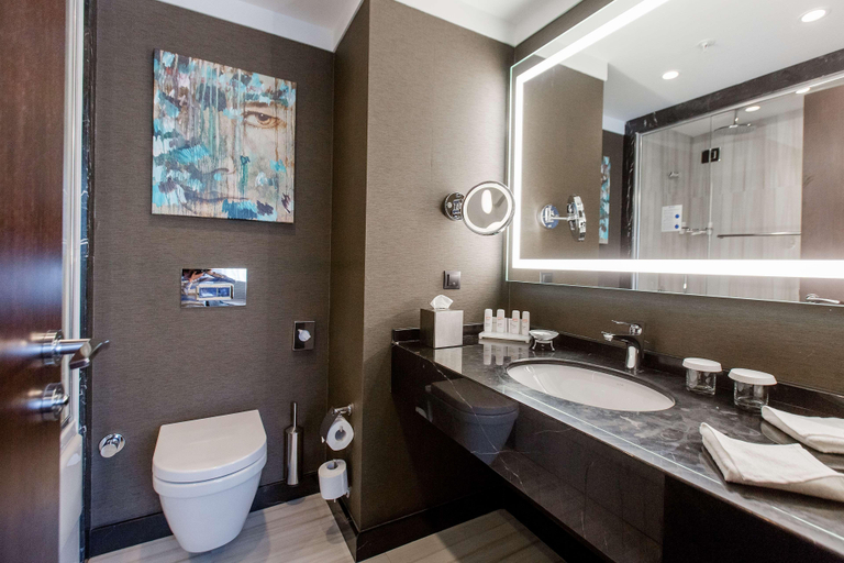 Bathroom 5, Radisson Blu Leogrand