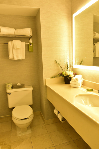 Bathroom, Radisson Hotel Niagara Falls-Grand Island, Erie