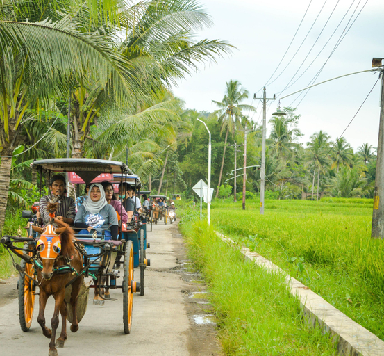 Homestay Ndalem Tentrem Borobudur, Magelang