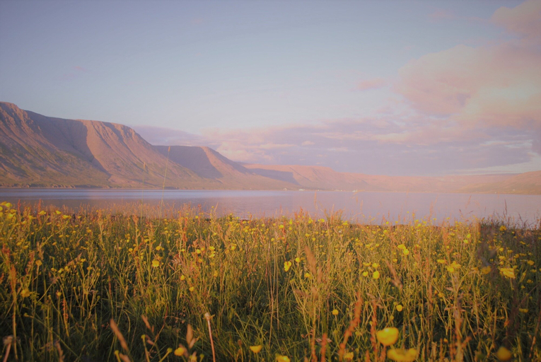 Guesthouse Bjarmaland, Vesturbyggð