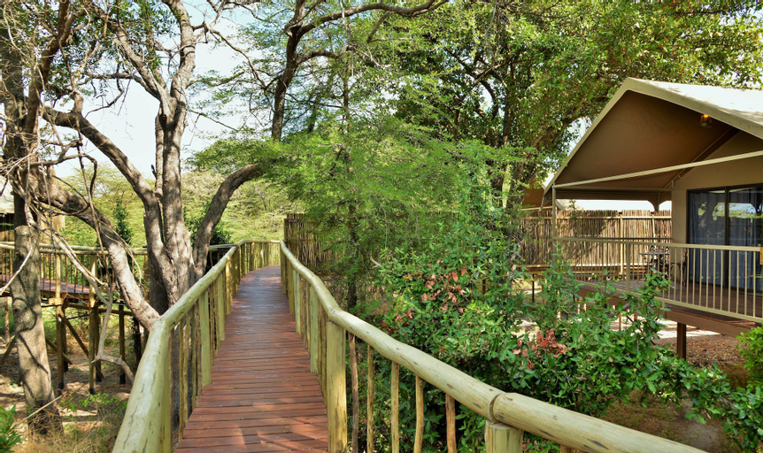 Jackalberry Chobe, Chobe