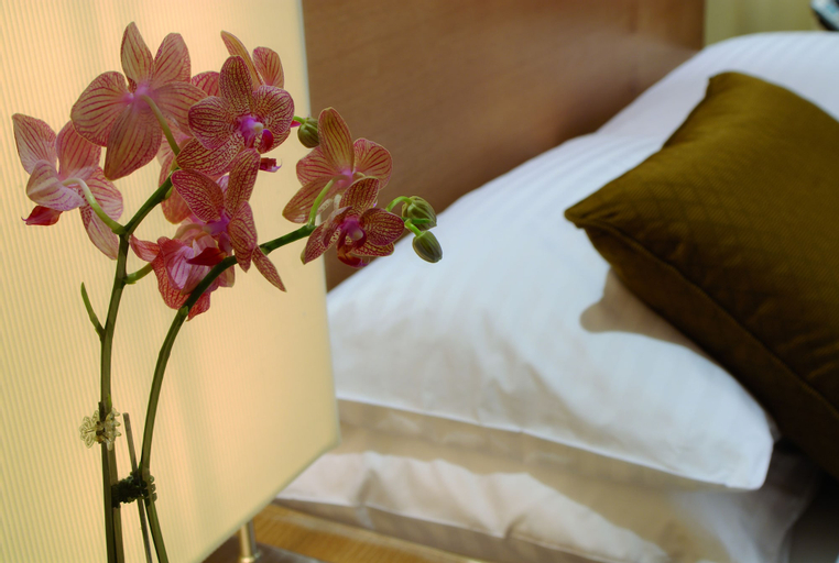 Bedroom 24