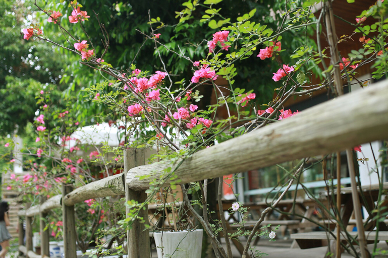 Wuyishan Old Street Hill Lodge, Nanping
