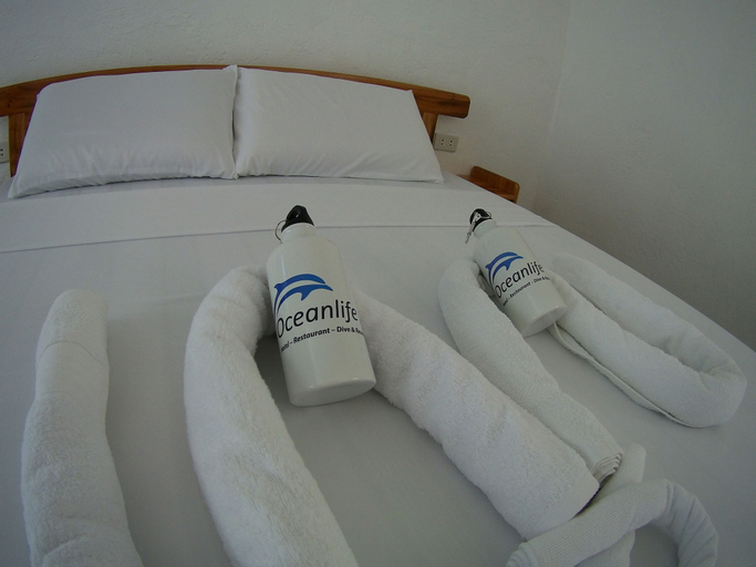 Oceanlife Explorers, Siquijor