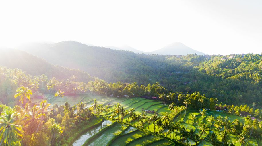 Damarwidi Glamping by Madhava, Buleleng