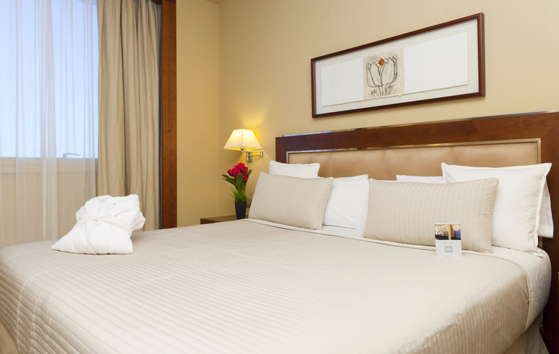 Hotel Nuevo Madrid, Madrid