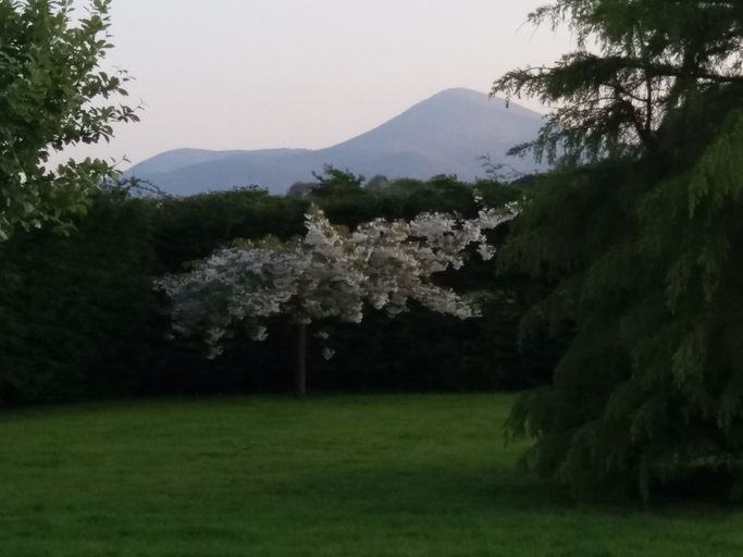 Others 5, Arley House B & B, Newry, Mourne and Down