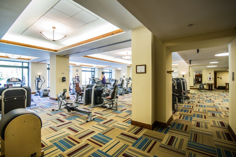 Sport & Beauty 5, 1325 Studio @ The Lodge at Spruce Peak, Lamoille