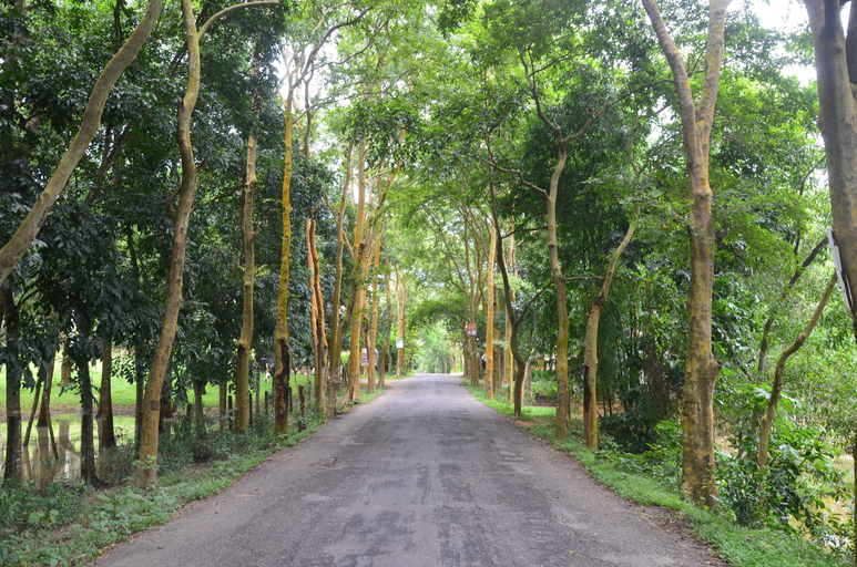 Exterior & Views 4, Lawachara Eco Cottage, Moulvibazar