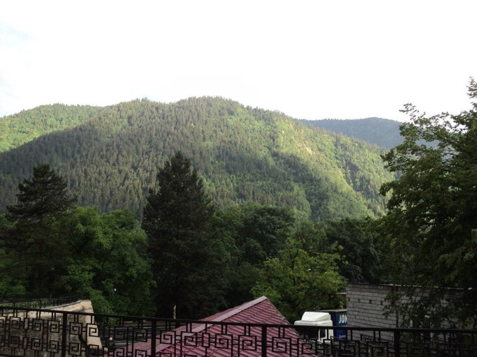 EcoRest Likani Palace, Borjomi