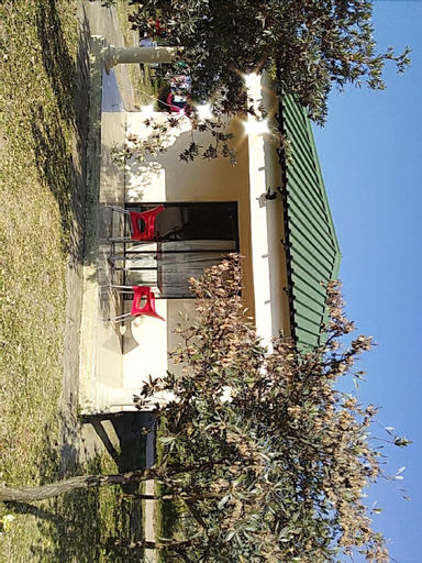 Moholoholo Lodge, Ehlanzeni