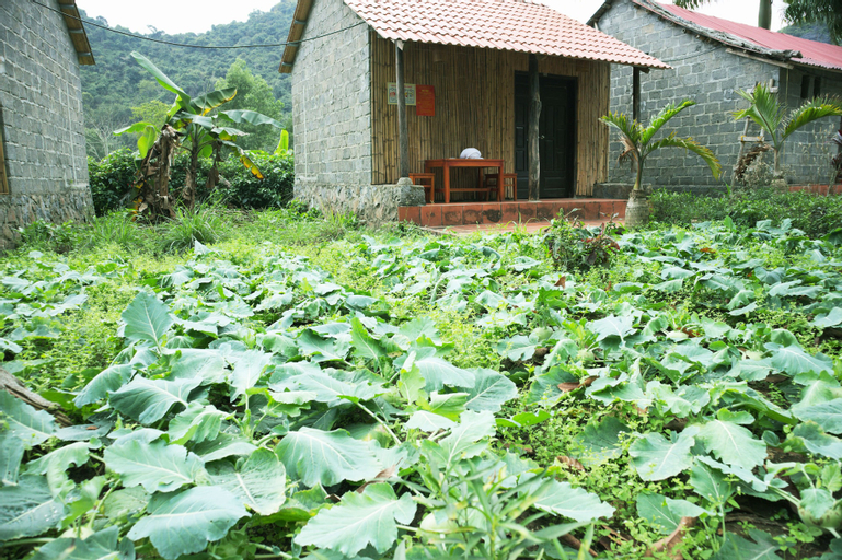 Long Phuong Homestay, Cát Hải