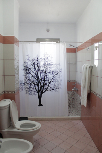 Hotel International, Fierit
