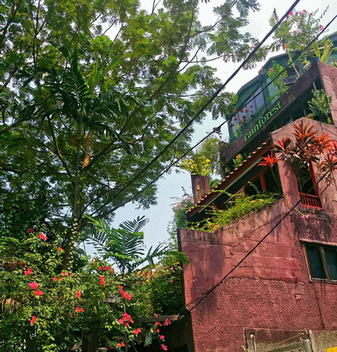 Rainforest Bed & Breakfast, Kuala Lumpur
