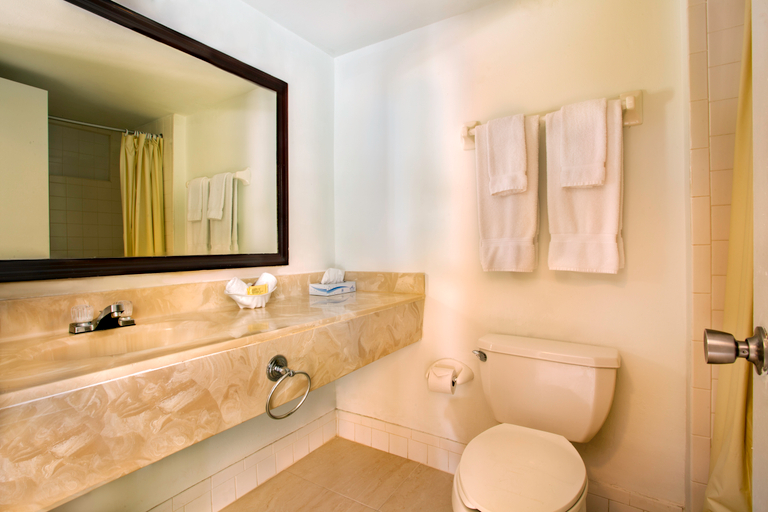 Bathroom 4, Viva Fortuna Beach by Wyndham, A Trademark Resort