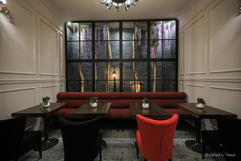 Public Area 4, Alpin Resort Hotel, Brasov