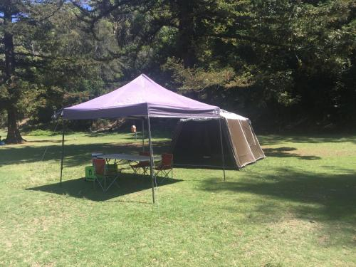 Basin Ku-ring-gai Campsite Set Up, Pittwater