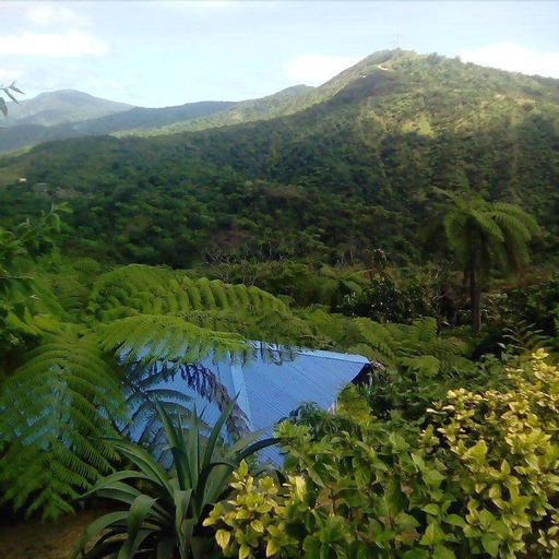 Tanna Top View Bungalows, Whitesands