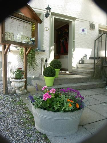Unknown, Landgasthof Baren, Laupen