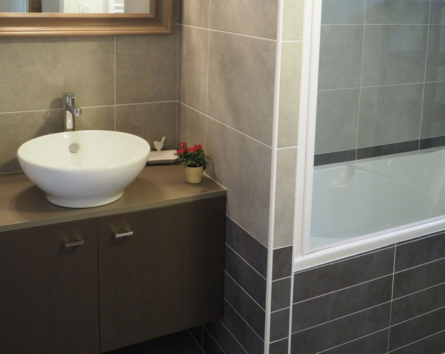 Bathroom 5, Les Grands-Aulnais, Mayenne