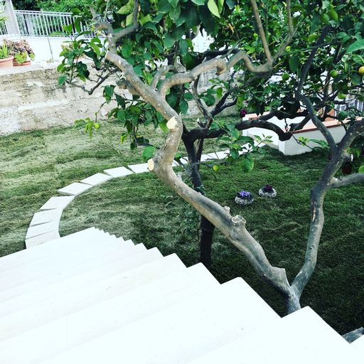 B&B Di Fiore, Foggia