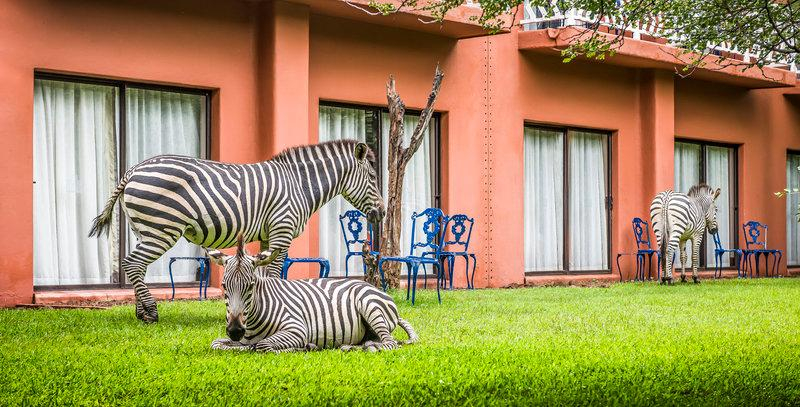 Avani Victoria Falls Resort, Livingstone