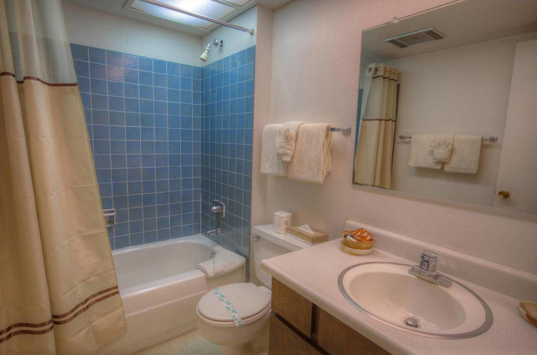 Bathroom, Raccoon Roost condo, Washoe