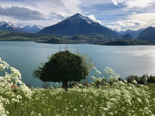 Otium - Romantic chalet with best lake view, Thun