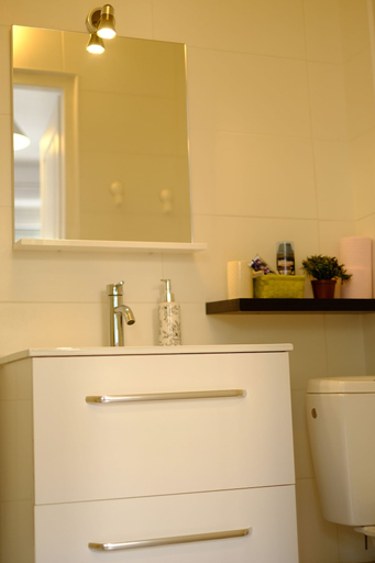 Bathroom 4, LP's house, Haute-Savoie