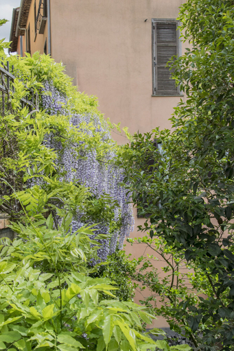 Exterior & Views 2, B&B Le Buche Casa Storica, Viterbo