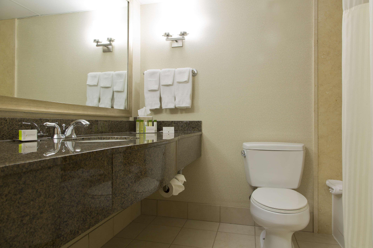 Bathroom 4, Doubletree By Hilton St Paul Downtown, Ramsey