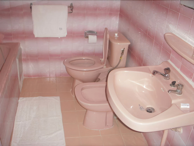Bathroom 5, Central Hotel, Mfoundi