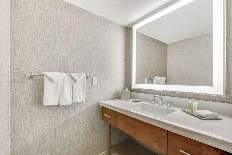 Bathroom 5, Hilton Phoenix Tapatio Cliffs Resort, Maricopa