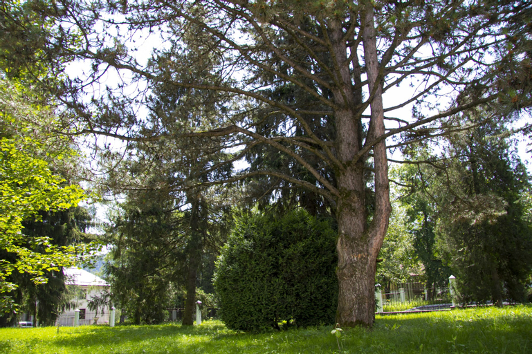 Sanatorium Chaika, Chegemskiy rayon