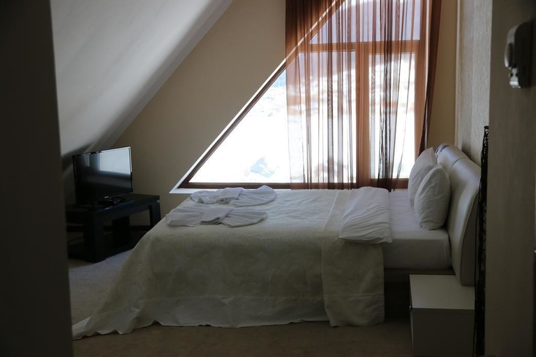 Travel Inn Bakuriani, Borjomi