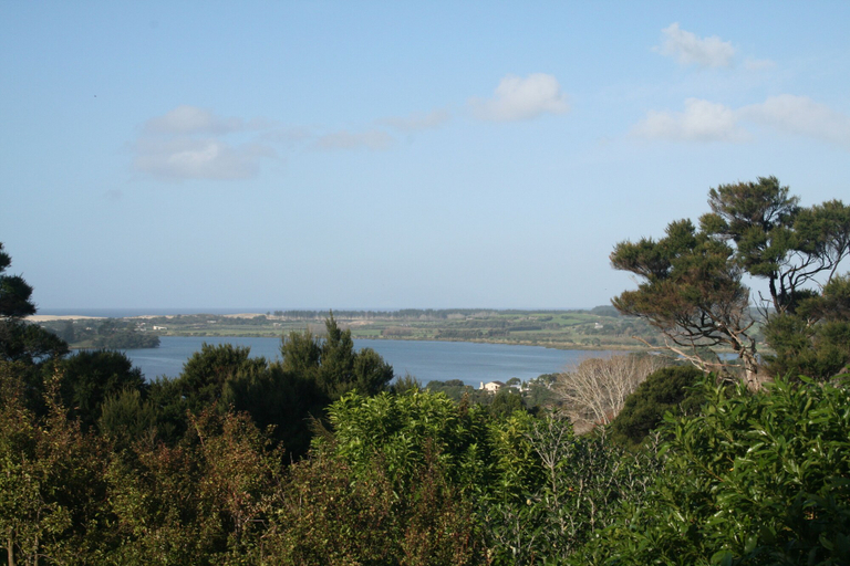 Others 4, The Villa, Kaipara