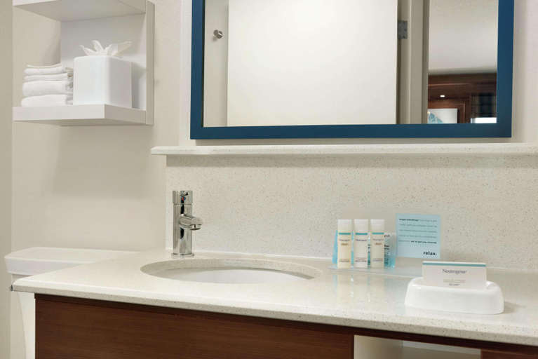 Bathroom 4, Hampton Inn West Des Moines Lake Drive, Dallas